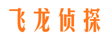 平安侦探